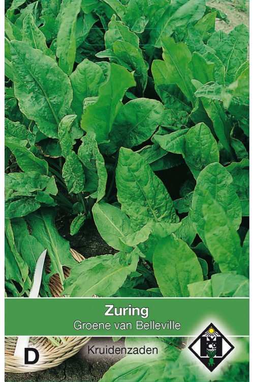 Belleville Sorrel seeds - 2026
