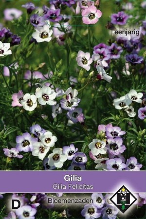 Felicitas Birds Eyes Gilia...