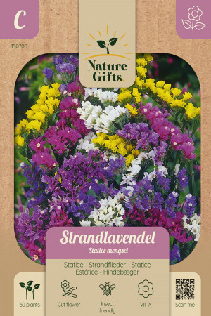 spider flower seeds Cleome (Spider Flower)  Kids Seed Co