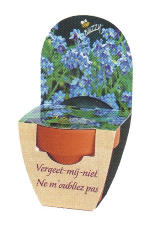 Forget-me-not - Grow Kit XL
