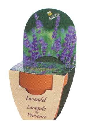 Lavendel - Groeikadootje XL