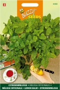 Melissa Lemon Balm seeds