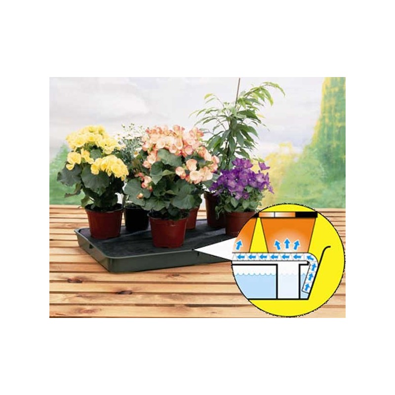 Self Watering Plant Tray G140 Systems Sow Grow • Tuinzaden.eu