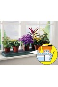 Windowsill Self Watering Plant Tray - G71