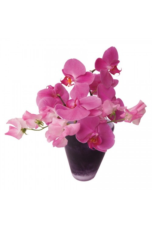 Roze Orchidee - Flat Flower Raamsticker