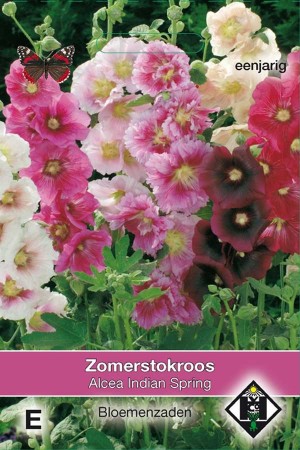 Stokroos (Alcea Rosea) Indian Spring