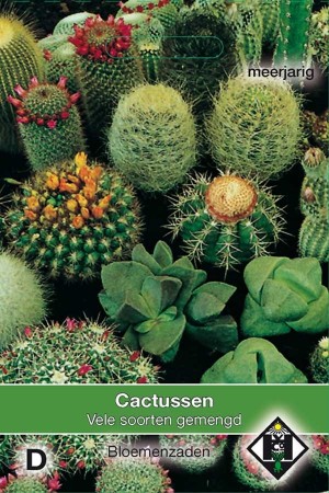 Cactus mengsel