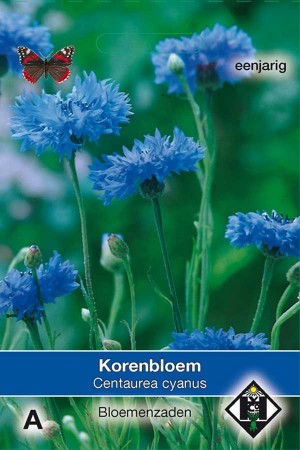 Korenbloem (Centaurea) Enkele blauwe