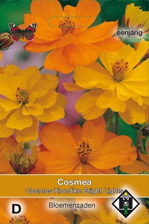 Cosmos (Cosmea) Klondike Bright Lights