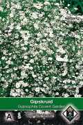 Covent Garden Gypsophila Gipskruid zaden
