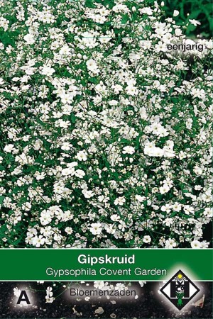 Covent Garden - Gypsophila