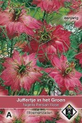 Persian Rose Nigella - Juffertje in het groen zaden