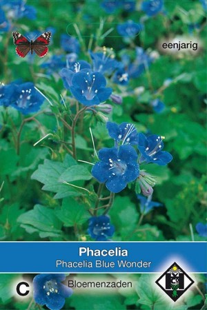 Bee Food (Phacelia) Blue Wonder