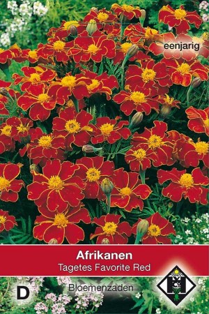 Afrikaan (Tagetes) Favorite Red