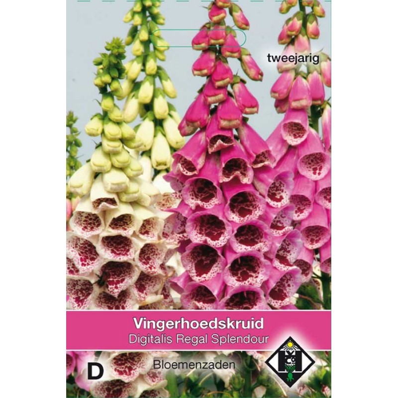 Dalmation Peach F1 Vingerhoedskruid zaden Digitalis kopen? Tuinzaden.eu