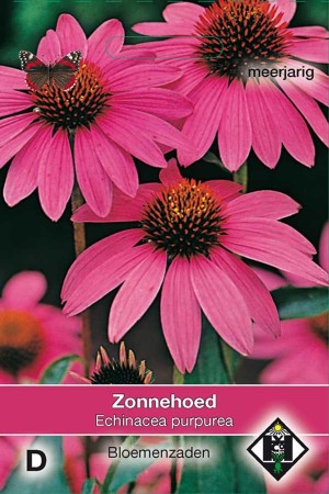 Zonnehoed (Echinacea Rudbeckia) Purpurea