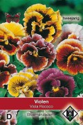 Viola Rococo - Pansy seeds