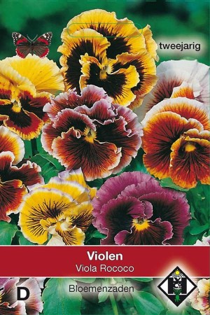 Viola Rococo - Viool zaden