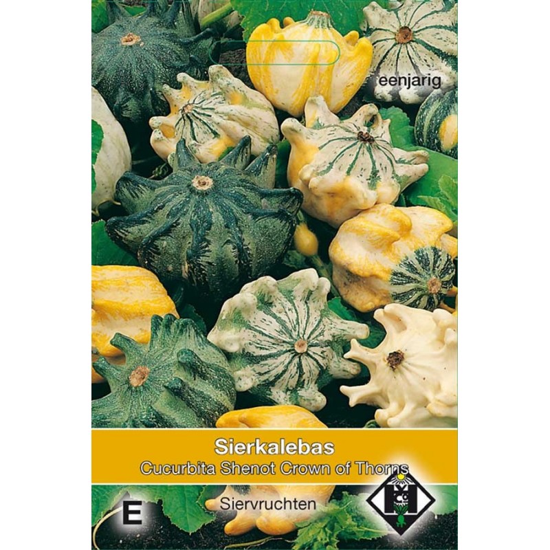 Shenot Crown of Thorns Ornamental squash seeds Gourds • Tuinzaden.eu