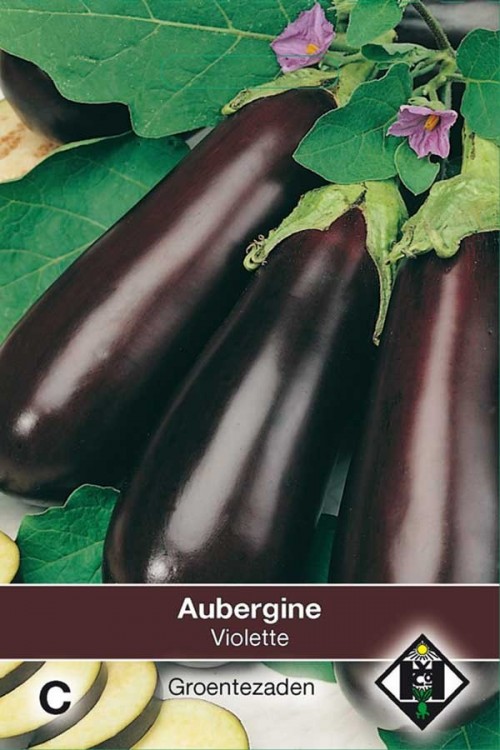 Halflange Violette - Aubergine