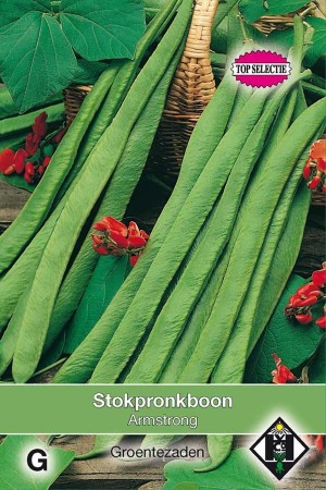 Pronkbonen Armstrong - Stokpronkboon