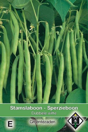 Dwarf French Beans Dubbele witte