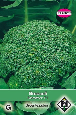 Broccoli - Calabrese Marathon F1