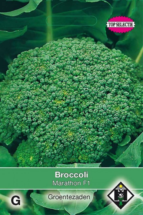 Marathon F1 Broccoli seeds