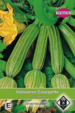 Courgette - Zucchini Cocozelle Italiaanse Courgette