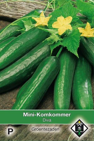 Snack cucumber - mini-cucumber Diva - Mini Komkommer