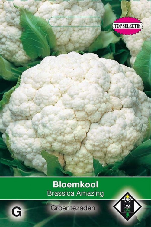 Amazing white cauliflower seeds