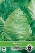 Express pointed cabbage seeds