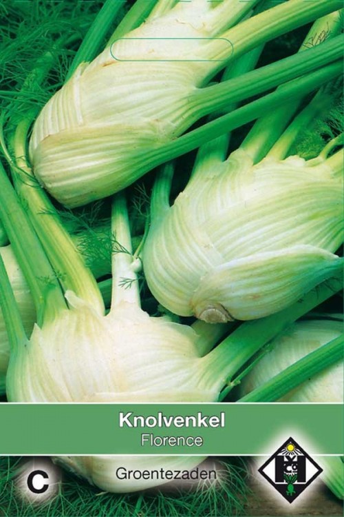 Florence - Fennel