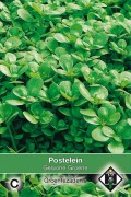Common Green Purslane seeds