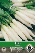 Icicle white radish seeds