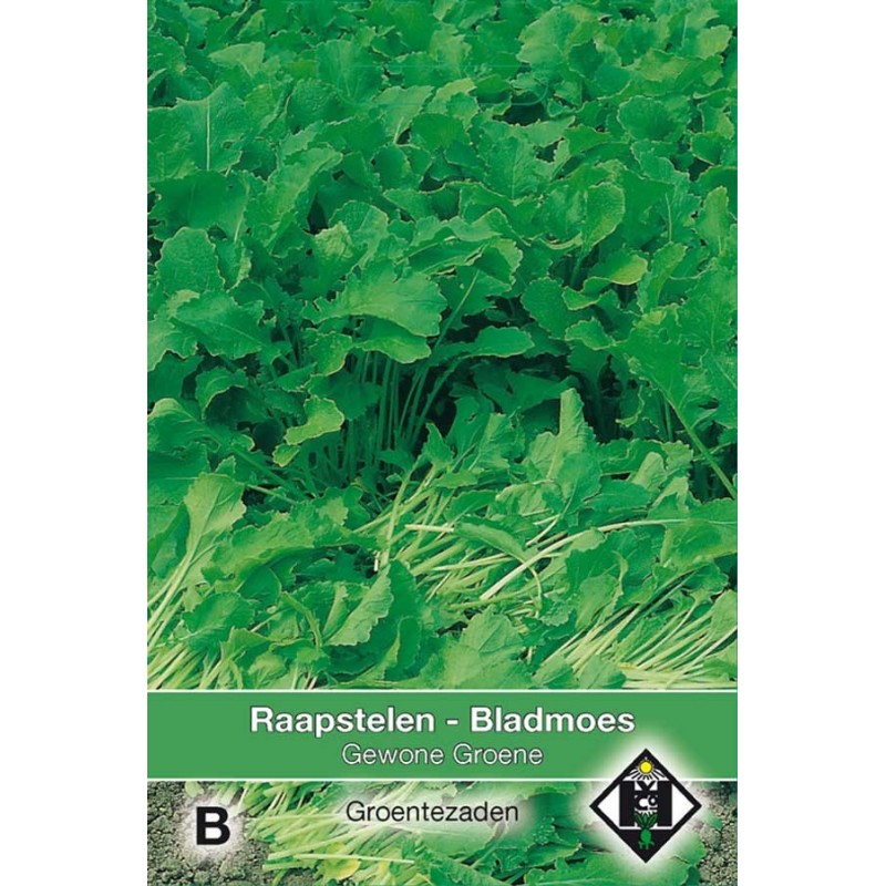 Ordinary Green Turnip seeds Greens Vegetable seeds • Tuinzaden.eu