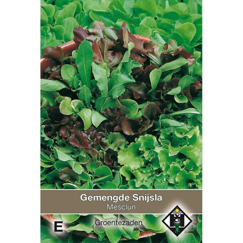 Sweet Mesclun lettuce mixed salad seeds Leaf Lettuce • Tuinzaden.eu