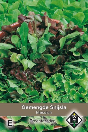 Leaf Lettuce Mesclun - Snijsla gemengd