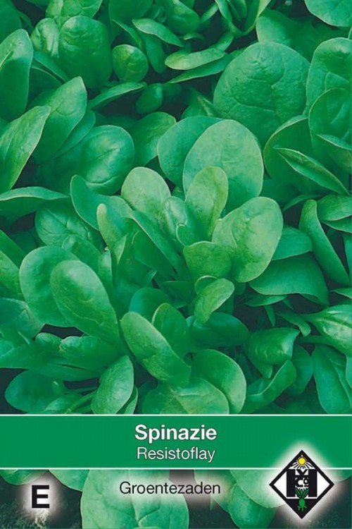 Resistoflay - Spinach