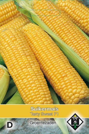 Corn / Sweet Corn Tasty Sweet F1 - Suikermais