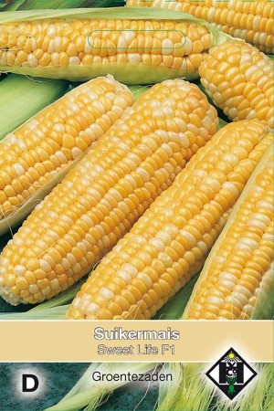 Corn / Sweet Corn Sweet Life F1 - Suikermais