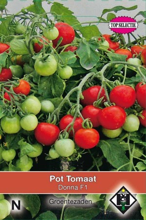 Bush Tomatoes Donna F1