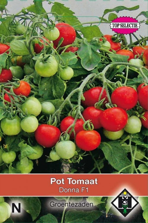 Donna F1 Pot Tomato seeds
