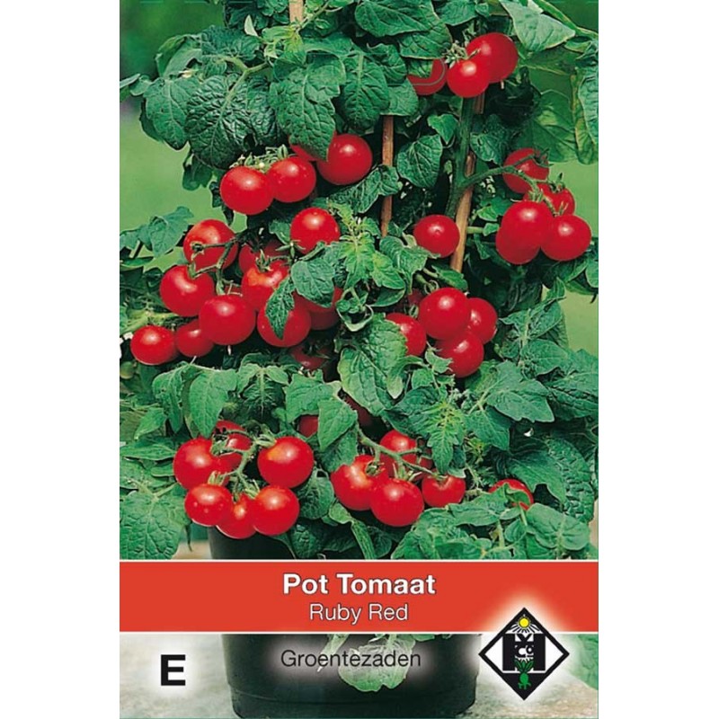 Ruby Tomatoes Ruby Red Pot Tomato seeds - Bush Tomatoes Seeds • Tuinzaden.eu
