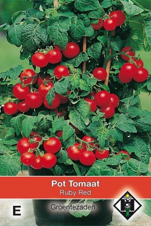 Ruby Red Pot Tomaten zaden