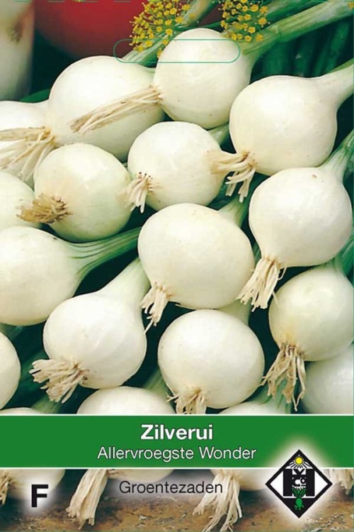 Allervroegste wonder white onion seeds
