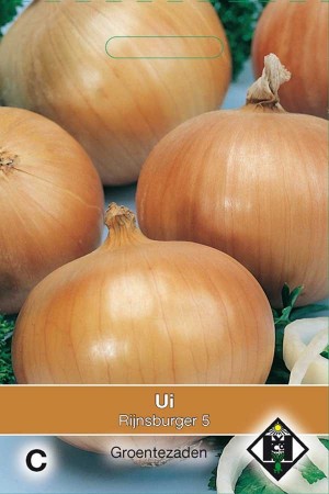 Onions Rijnsburger 5 - Zaaiui