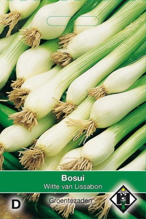 Onions Bosui Witte van Lissabon