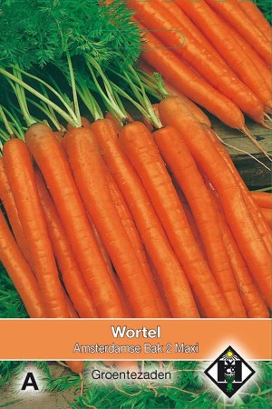 Amsterdamse Bak 2 Maxi - Carrot