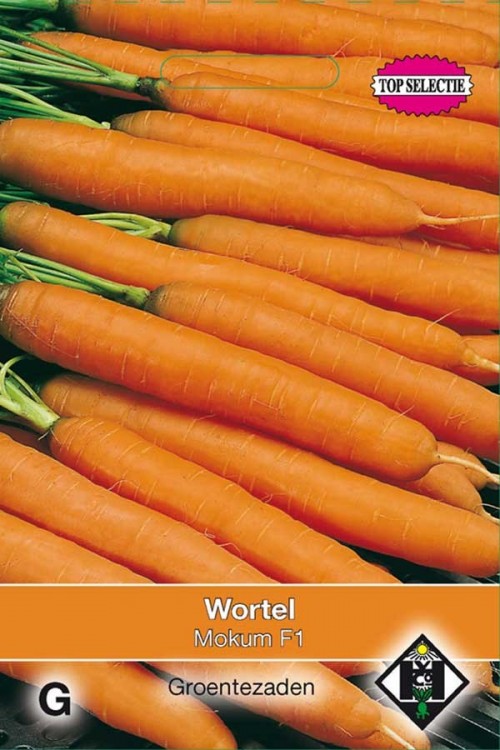 Mokum F1 - Carrot